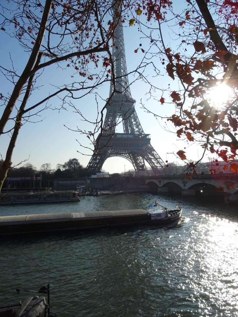 The Pont d'Iéna
