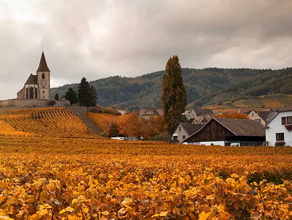 The Alsace in France
