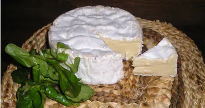 Camembert