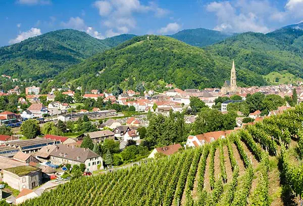 Vineyards in the Alsace region