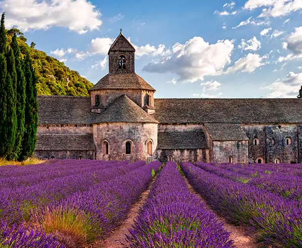 Abbaye Notre-Dame de Senanque, Provence