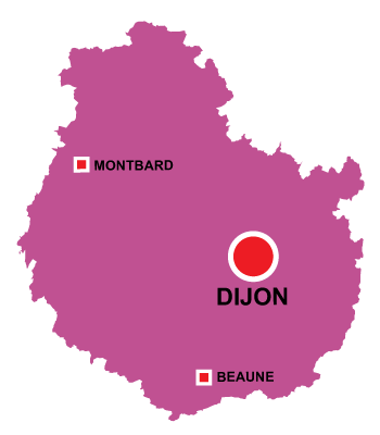 Department map of Côte d'Or