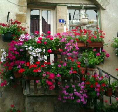 A visit to the Morvan