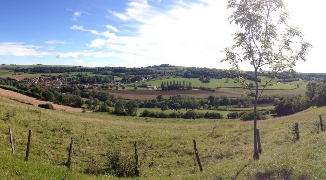 A day out in Burgundy