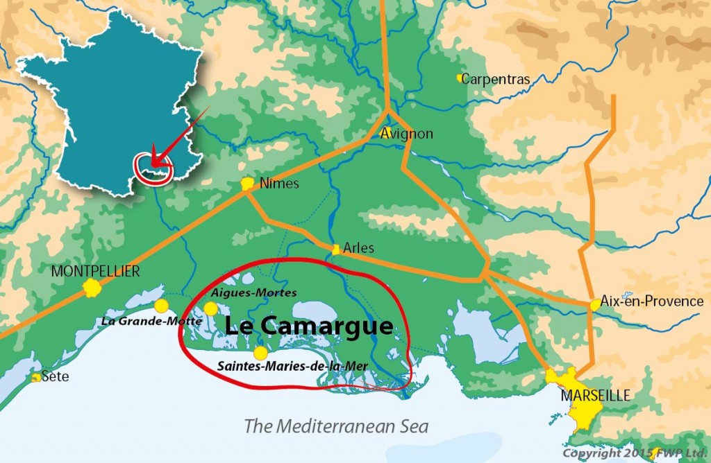 Camargue on the Mediterranean coast in France