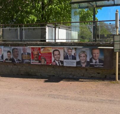 The 2017 French presidential elections